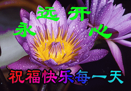 春分一曲春暖花开送给最牵挂的你祝愿你每天幸福快乐