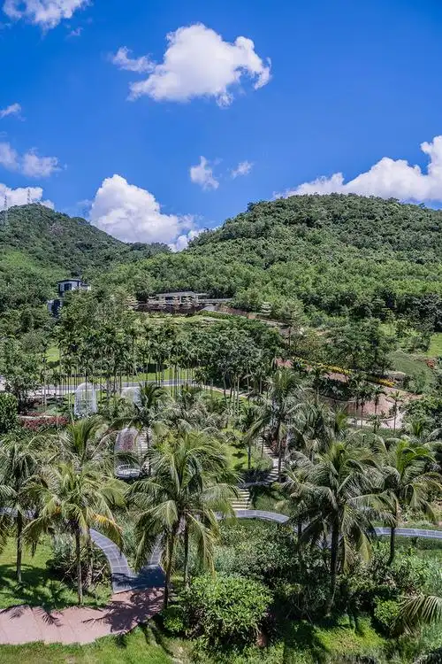 三亚万科森林湿地公园