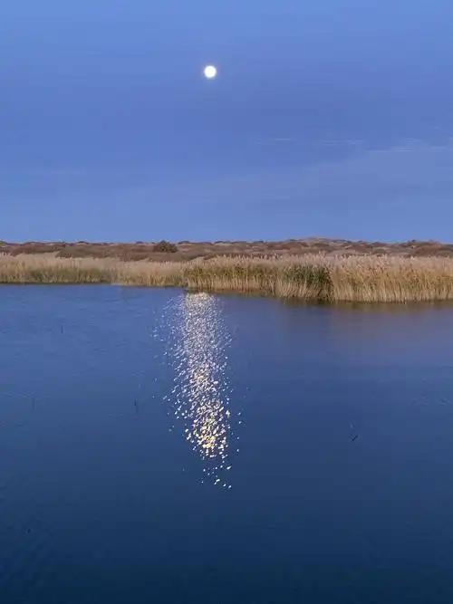 内蒙古阿拉善旗居延海,策克口岸