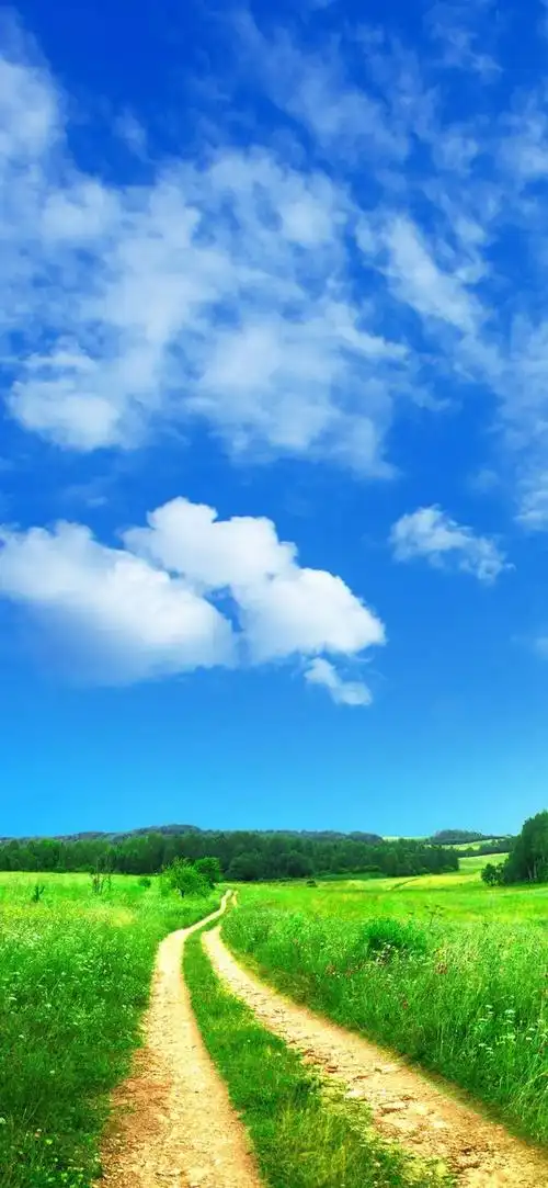 超人气全面屏壁纸