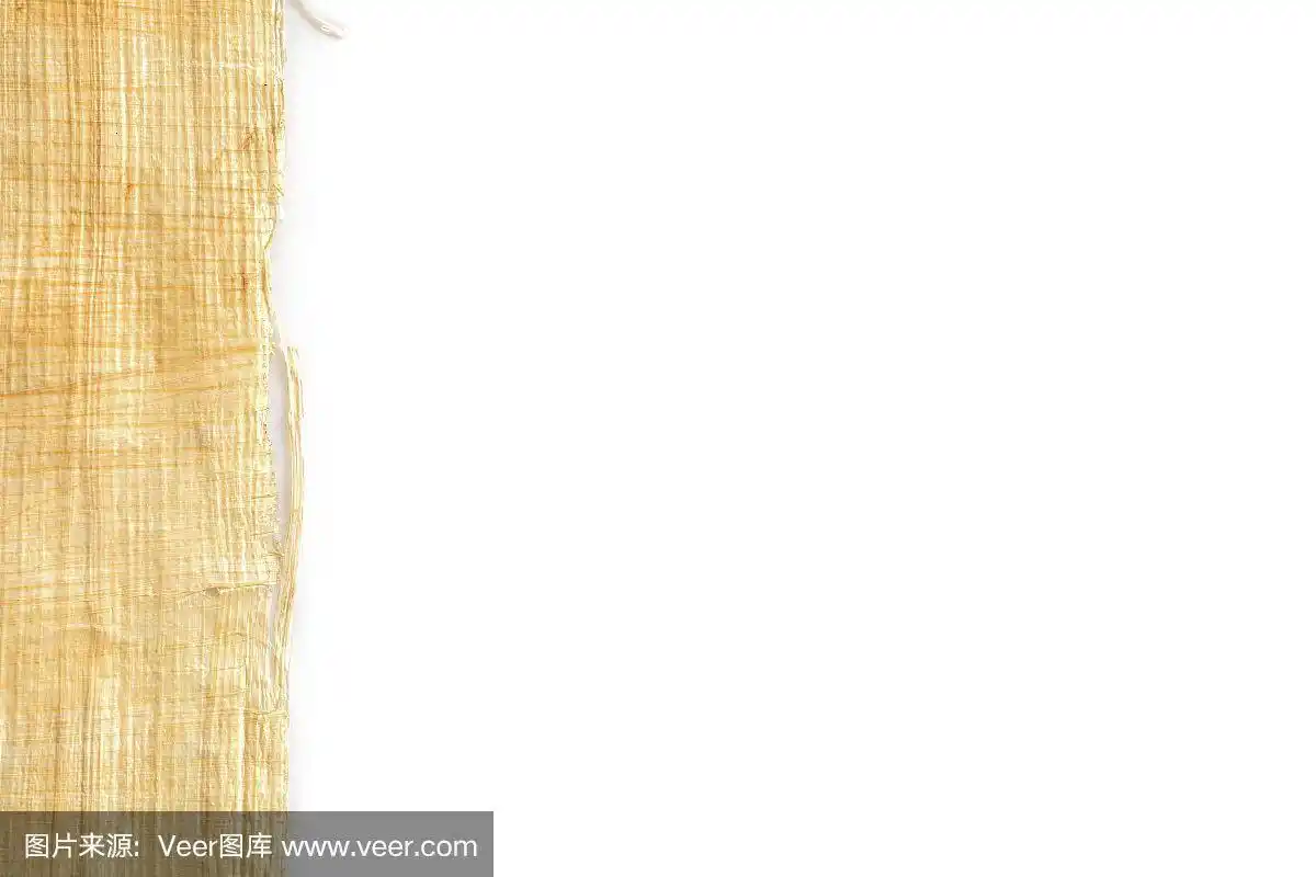 空白的白色背景与特写古老的真实埃及纸莎草纸在左边.设计的模型.