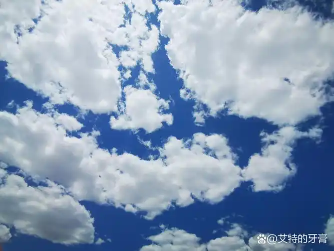 99天空湛蓝如洗,云朵洁白如雪,仿佛一切都被洗涤得干干净净.