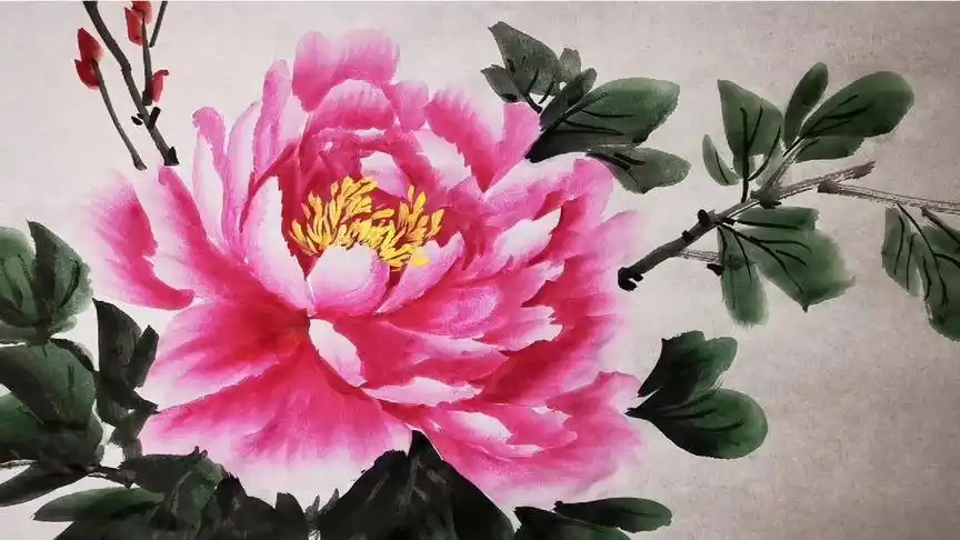 牡丹卷瓣 如何表现 全在这!