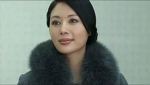 4[电视剧] 军人荣誉2010|内地|犯罪|警匪|普通话主演:童瑶 曾黎