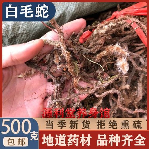 白毛蛇500克中草药材阴石蕨石蚕老鼠尾白毛骨碎补