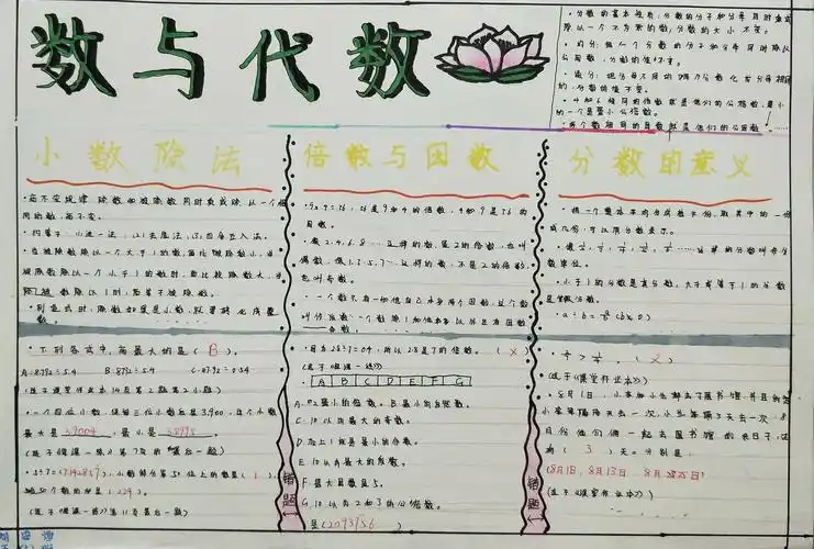 请看咱们班孩子整理《数与代数》的手抄报.