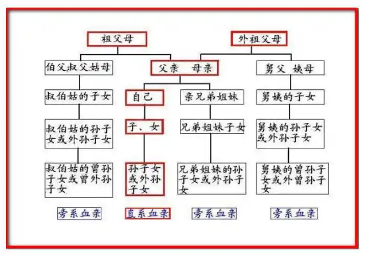 首页 生活家居 生活常识 直系亲属包括哪些? 优质 999次浏览 2021.08.
