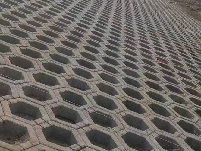 环保建材之星深入了解植草砖的特点与优势