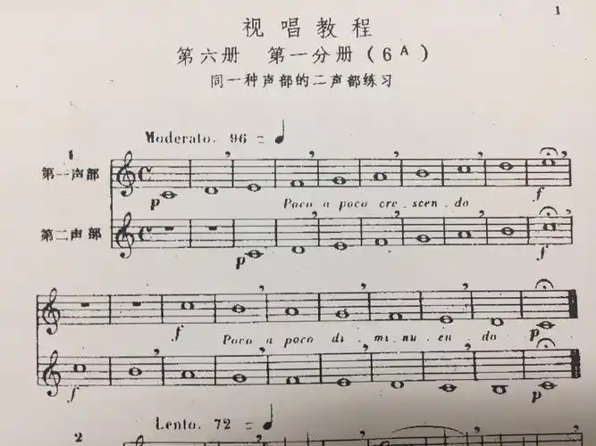 五一集训(2019春季班) 写美篇本周需要练习四条视唱,四条都是二声部