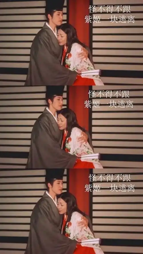 光源氏太多情,招惹太多女人!