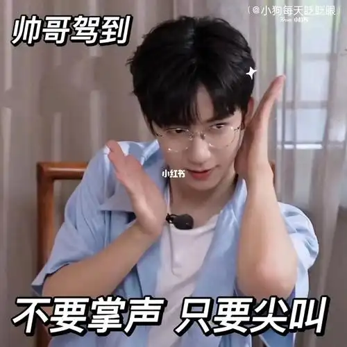 表情包  #搞笑表情包  #表情包  #时代夏令营  #贺峻霖  #贺峻霖