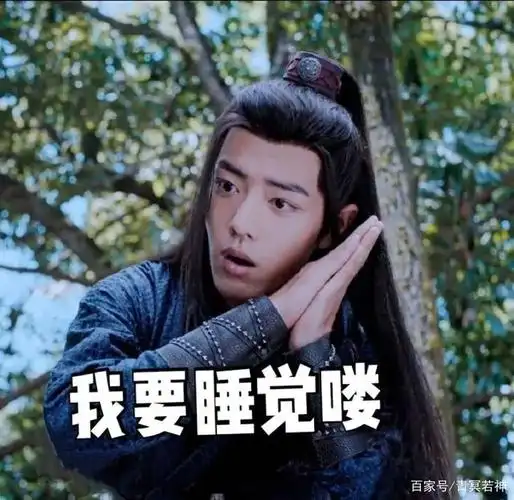 肖战表情包来袭,够沙雕