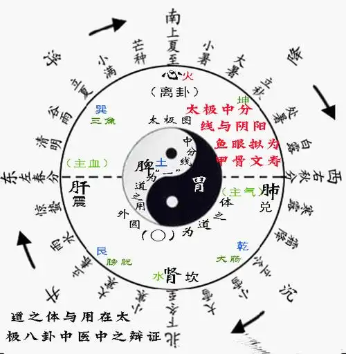 如下图: 从上图可以看出,与五脏六腑相对应的阴阳八卦,五行,四季和24