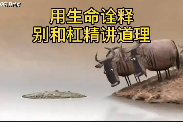 用生命诠释别和杠精讲道理