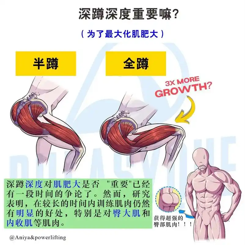 第8集|深蹲的深度对肌肥大有影响吗?深蹲一直是一项伟大的运动 - 抖音