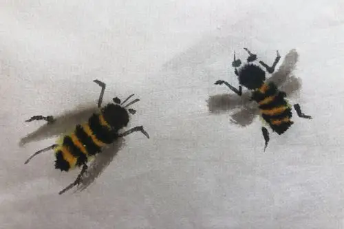 杨秀华国画网络课第十一节《蜜蜂的画法》 写美篇杨秀华 中国工笔画