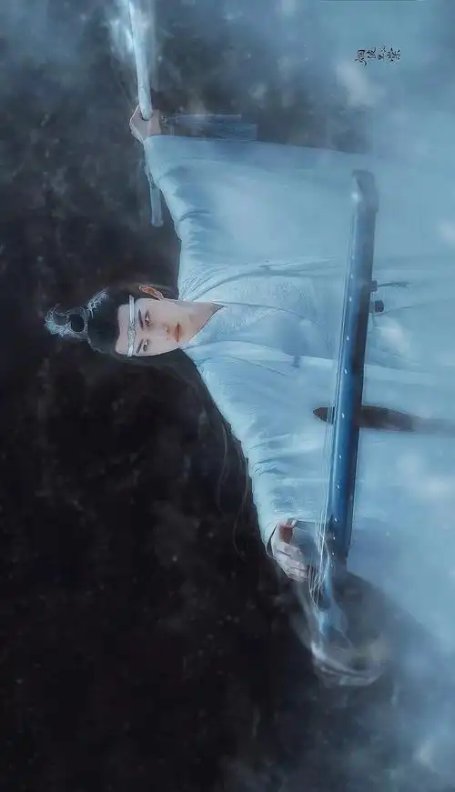 陈情令 蓝忘机 王一博