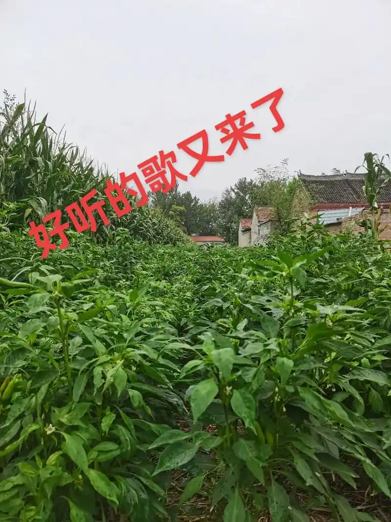 拍同款,2 .点3分钟,3 ,点相册 4 ,左下 - 抖音