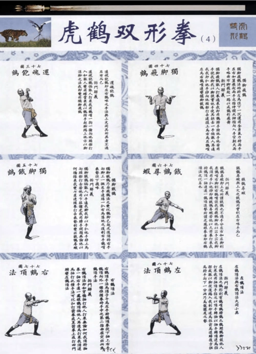 虎鹤双形拳(4)