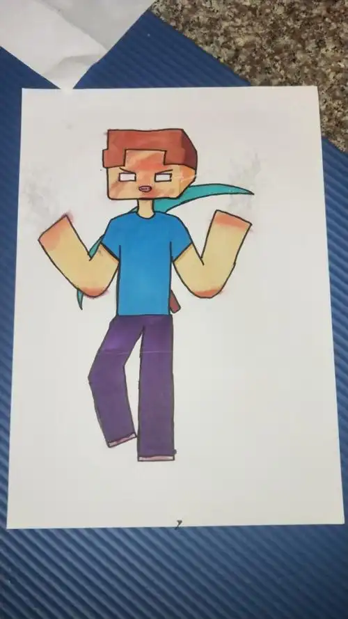 我的世界him的一生