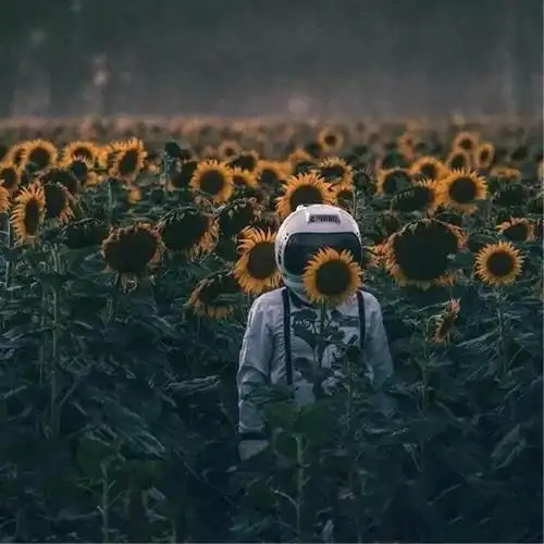 一个人安静的图片头像高清一个人安静美好头像图片大全