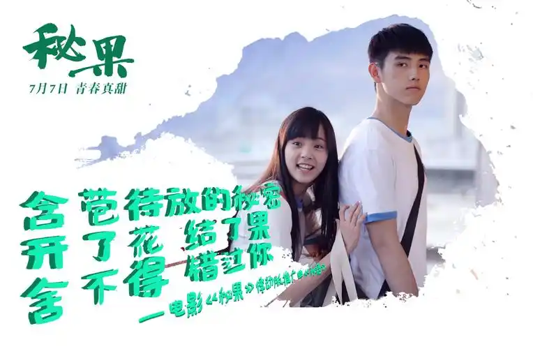 秘果海报 16 poster