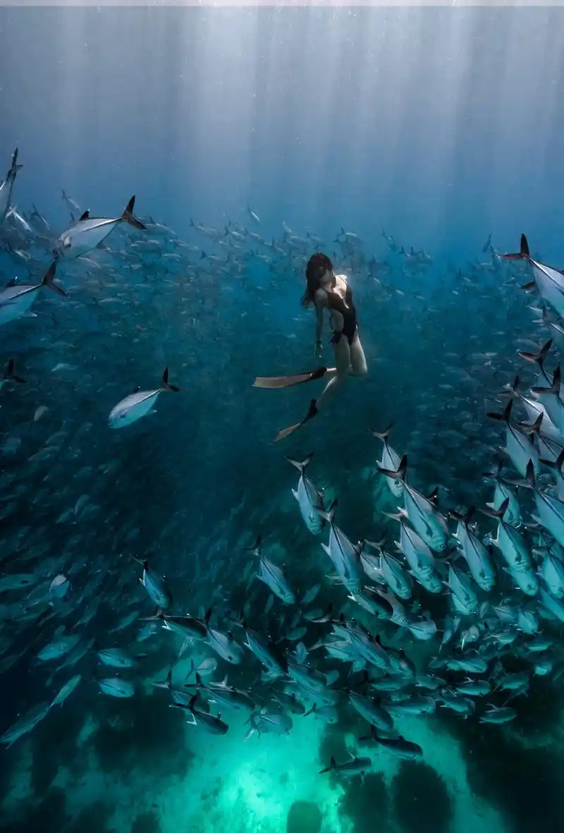 潜水摄影:深海美人鱼