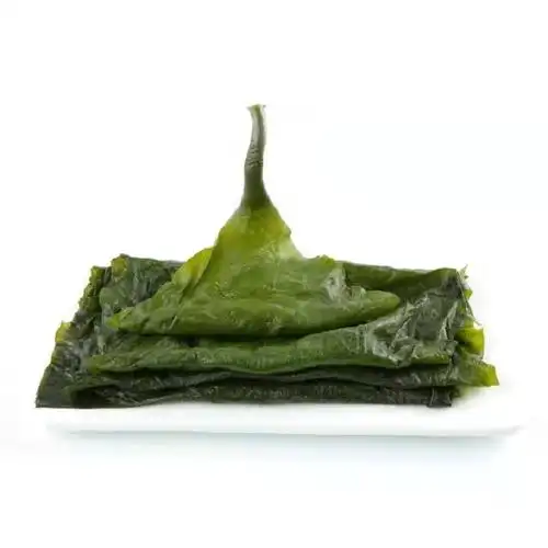 小海海带东海海城盐渍昆布海藻海洋蔬菜火锅海带