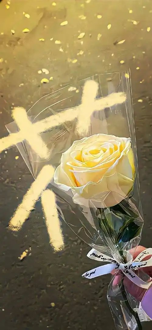 壁纸 | iphone 高质感壁纸(4k高清)