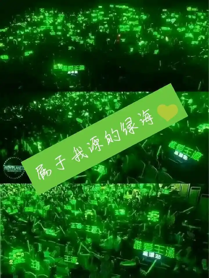 【唯爱王源】待我毕业定赴绿海