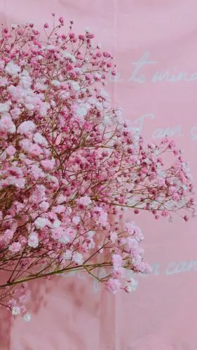 粉色系二次壁纸