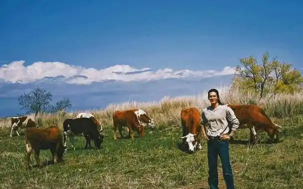 "一招鲜吃遍天"的5位演员,角色千篇一律,却让观众难以自拔