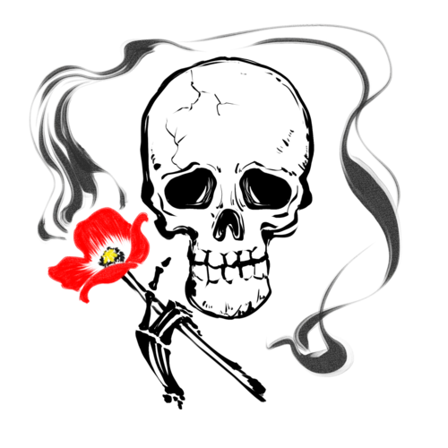 美丽会东荐读萌芽罂粟花之殇