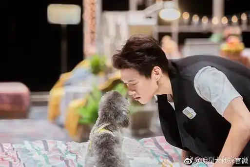 明星大侦探第三季-综艺-全集高清完整版免费在线观看-小小影视