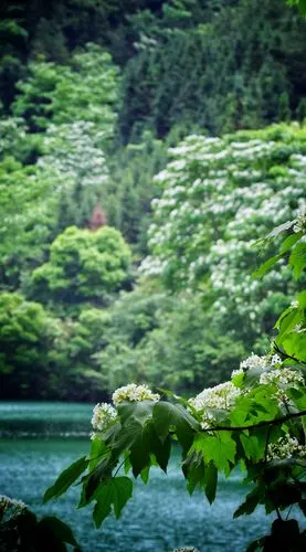 凡口的"九寨沟",大自然的山水景色总相宜 - 美篇
