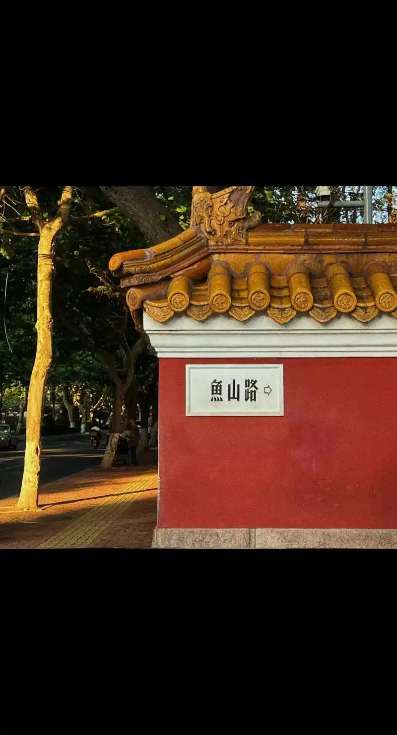 你会去网红景点打卡吗 青岛大学路网红墙 - 抖音