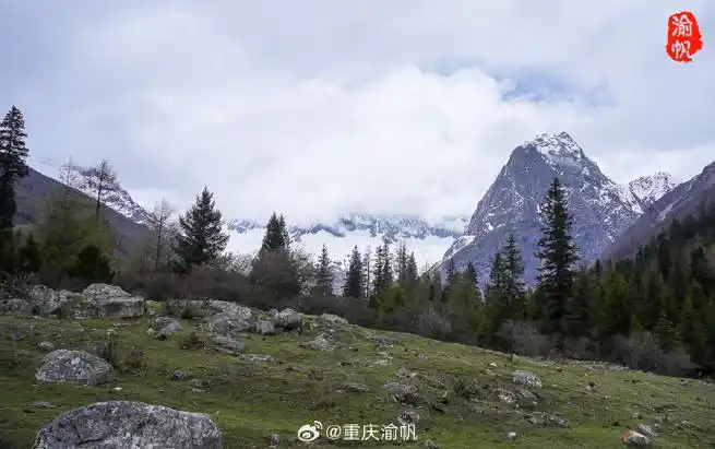 世界的阿坝##e见阿坝