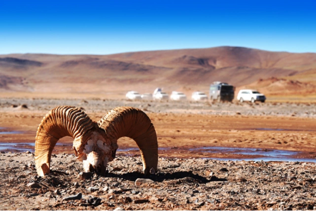 你们知道中国四大无人区,分别在哪里吗?可可西里是其中之一