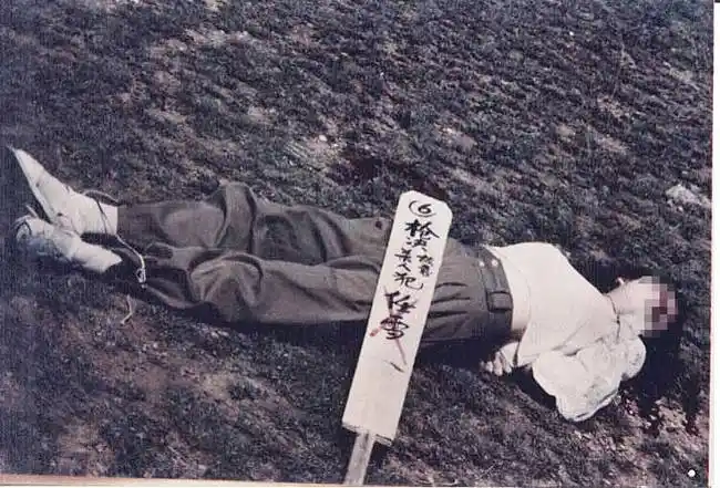 罪犯被执行死刑后又活过来该怎么办