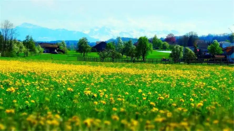 82张护眼电脑桌面壁纸,超多超全,唯美漂亮