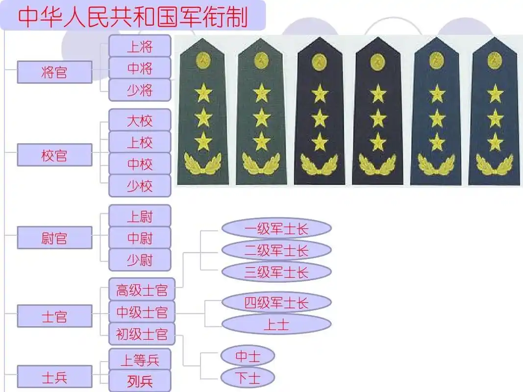 中国人民解放军军衔制度及识别ppt_word文档在线阅读与下载_无忧文档