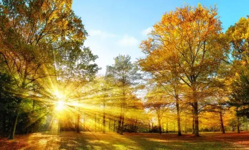 掌握这6个技巧,就能拍出最美的"耶稣光"