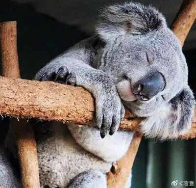 已有男友情侣头像