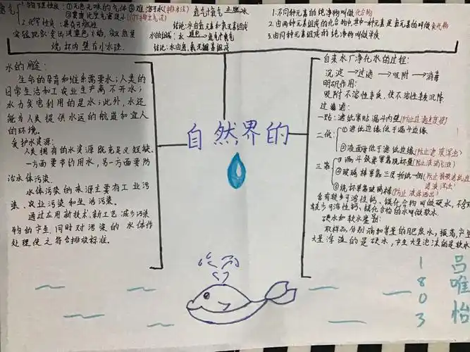 第四单元《自然界中的水》思维导图