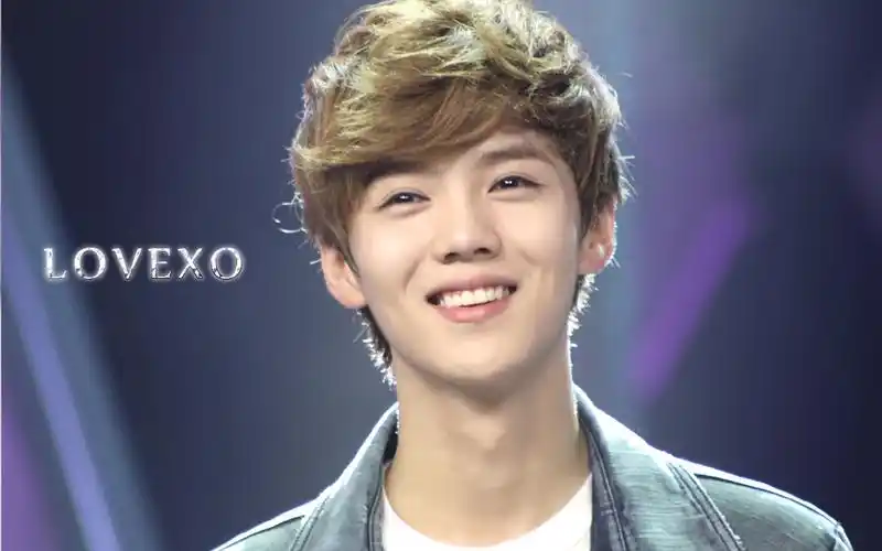 exo可爱的鹿晗,日韩明星-回车桌面