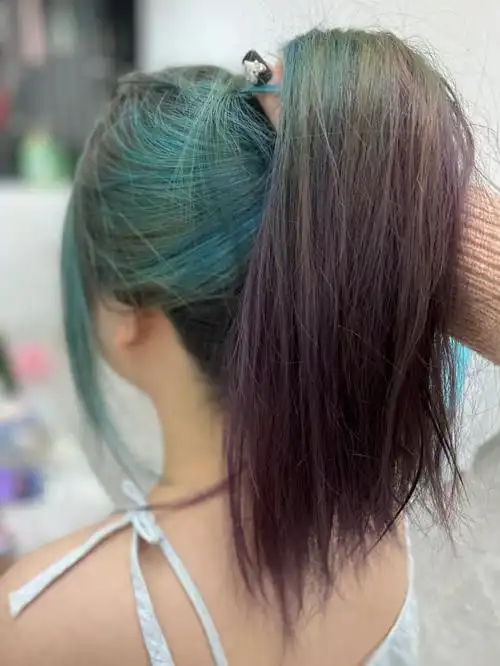 蓝紫渐变鹦鹉发色00