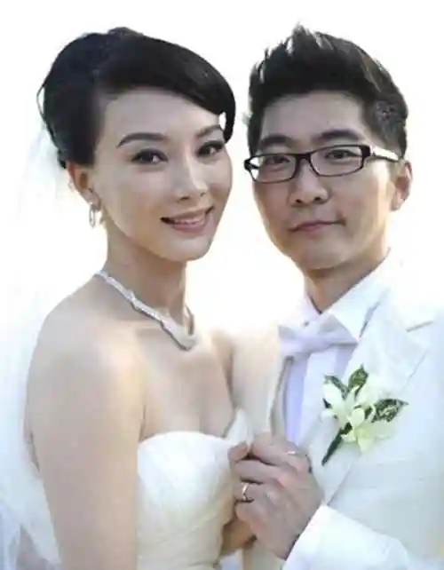 陈数第一任丈夫的简介(陈数第一任丈夫的简介陈数出生几年) - 观星网