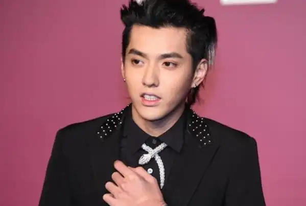 像一根牙签一样瘦弱,也暗指"性无能" ,该梗是吴亦凡事件衍生出来的一