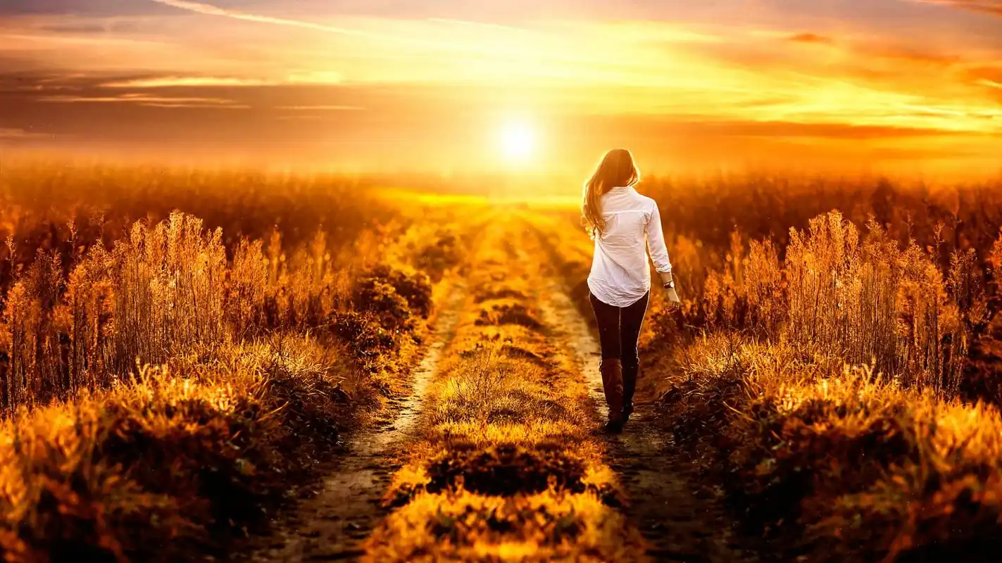 夕阳95  02 看见你,就想起了一个人的命运 满身的辉煌只是轻轻地