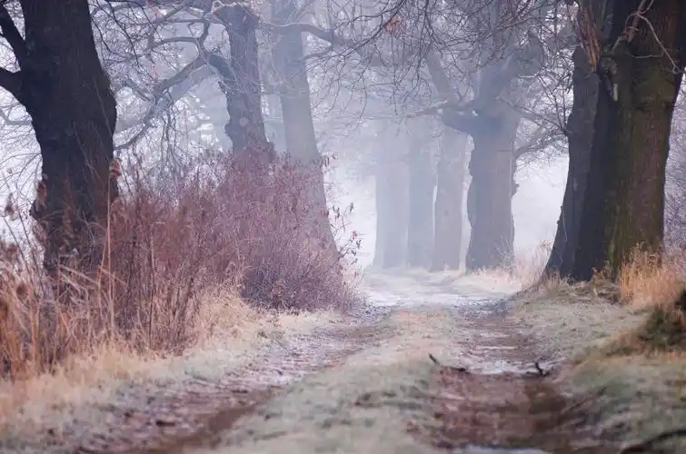 一,电脑桌面背景图,有没有那张让你心动呢?
